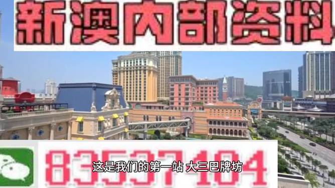 2024澳门资料免费网站大全正版2024｜精选解释解析落实